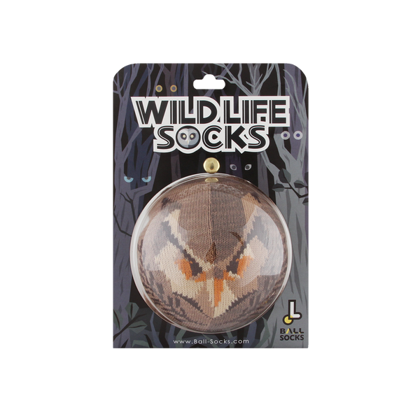 野生動物襪_貓頭鷹 長耳鴞