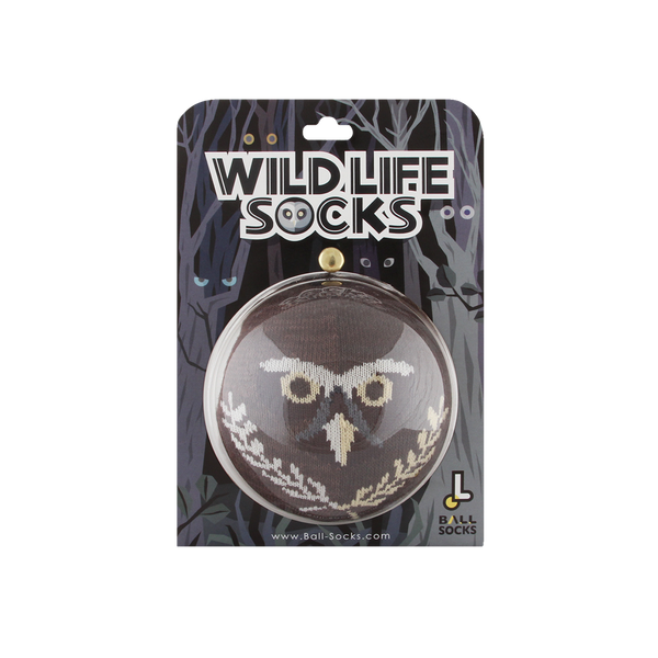 野生動物襪_貓頭鷹 眼鏡鴞