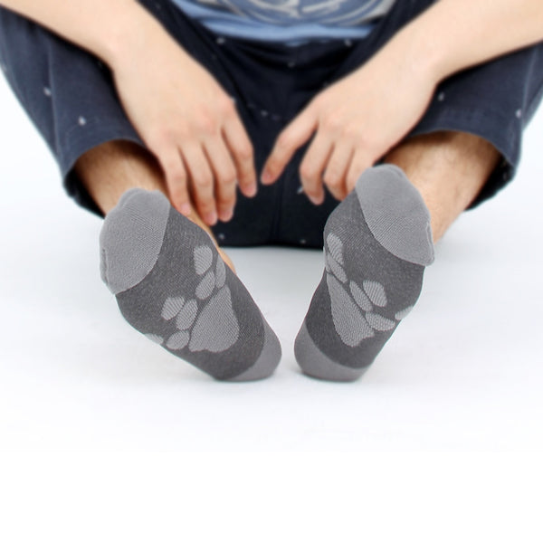 FOOTPRINT 腳印襪_迅猛龍