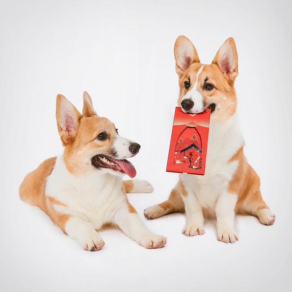 FUN ll_旺春風紅包禮袋