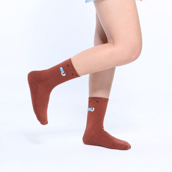 LINE FRIENDS 球襪_熊大打呼