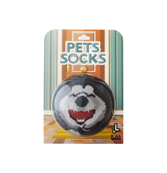 Pet Socks 寵物球襪_哈士奇