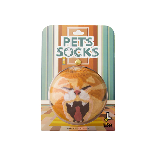 Pet Socks 寵物球襪_美國短尾貓