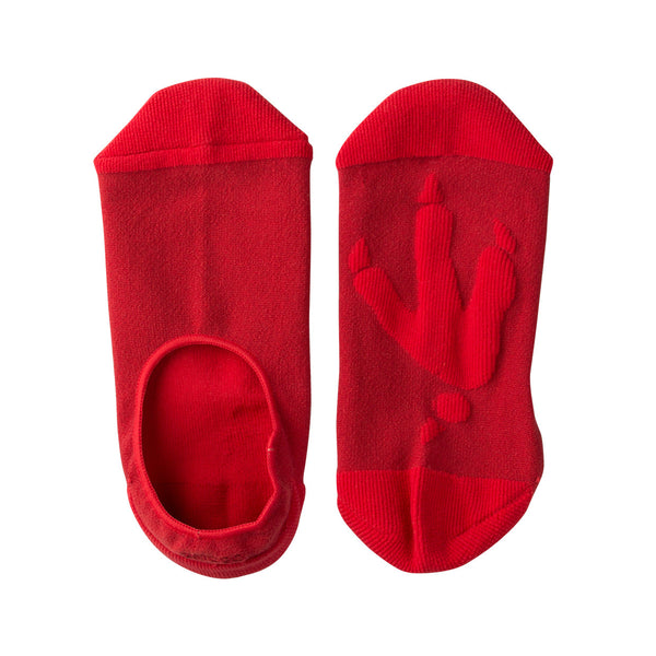 FOOTPRINT 腳印襪_火雞