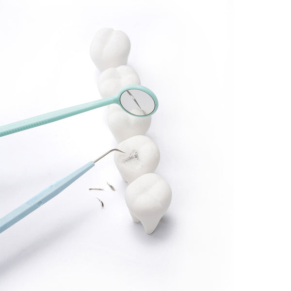 TOOTH 牙齒橡皮擦