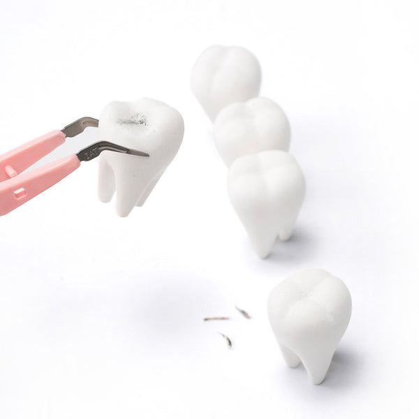 TOOTH 牙齒橡皮擦
