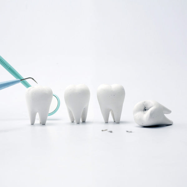 TOOTH 牙齒橡皮擦