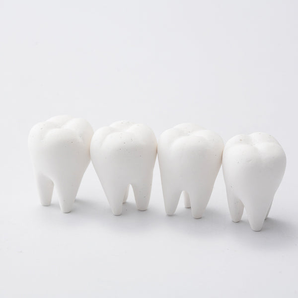 TOOTH 牙齒橡皮擦