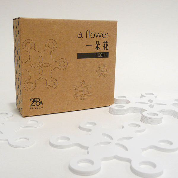 a flower 一朵花 白色