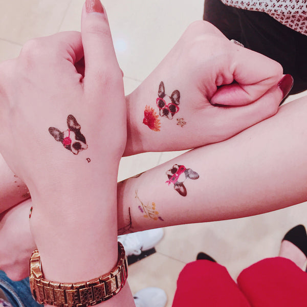 3張王牌_狗 3 OF KIND_DOGS