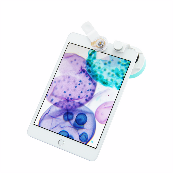 Duet行動顯微二重奏