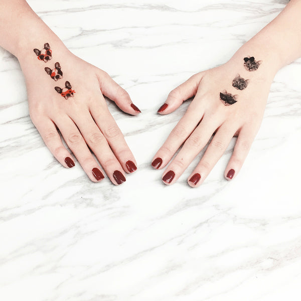 3張王牌_貓 3 OF KIND_CATS