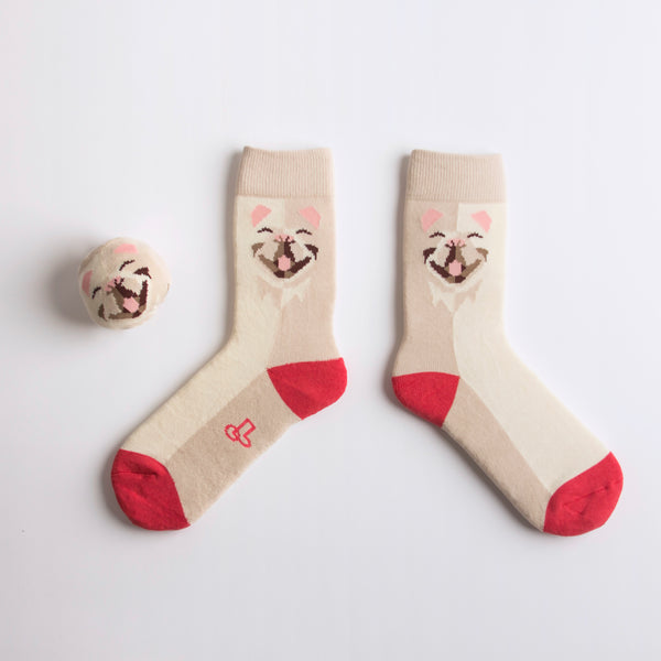 Pet Socks 寵物球襪_法國鬥牛犬