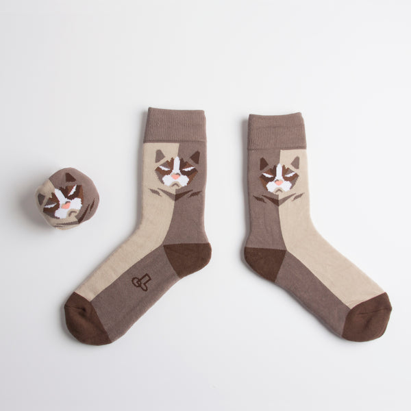 Pet Socks 寵物球襪_短毛波斯貓