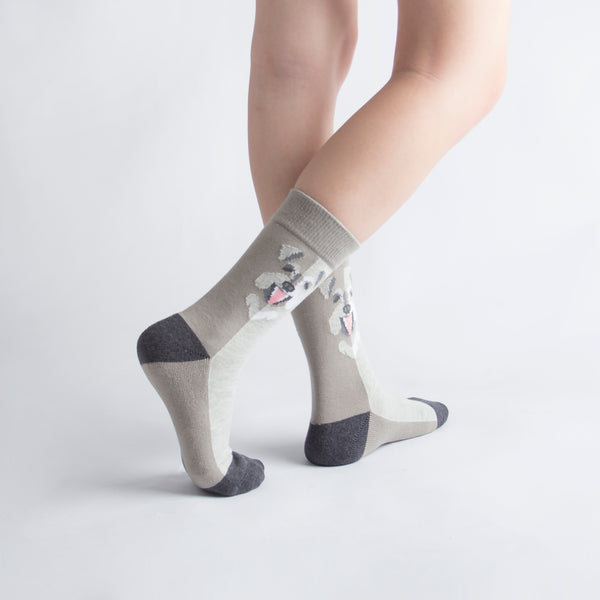 Pet Socks 寵物球襪_雪納瑞