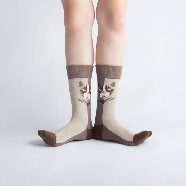 Pet Socks 寵物球襪_短毛波斯貓