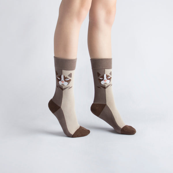 Pet Socks 寵物球襪_短毛波斯貓