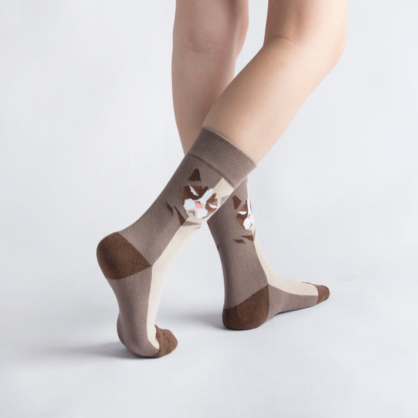 Pet Socks 寵物球襪_短毛波斯貓