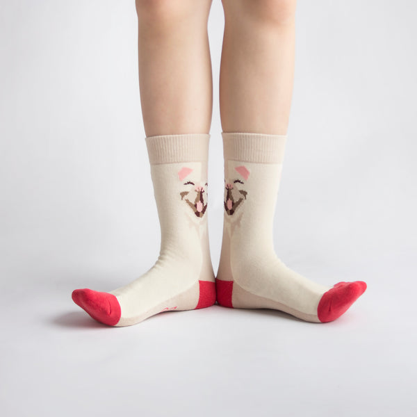 Pet Socks 寵物球襪_法國鬥牛犬