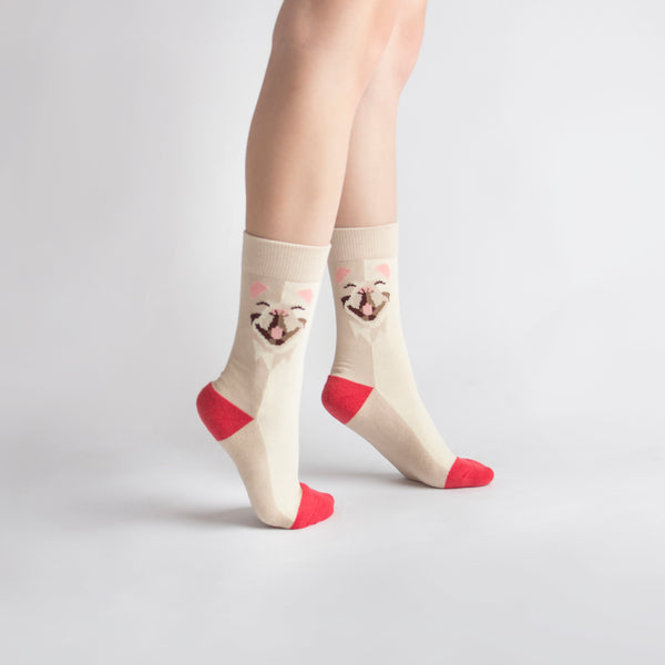 Pet Socks 寵物球襪_法國鬥牛犬