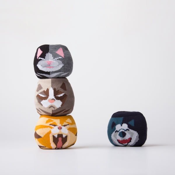 Pet Socks 寵物球襪_短毛波斯貓