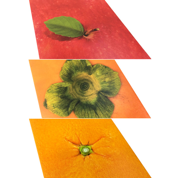 FRUIT福祿多紅包袋