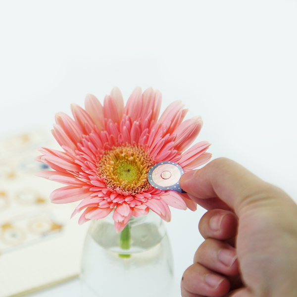 Duet行動顯微二重奏