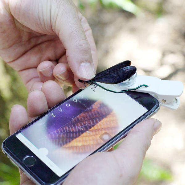 Duet行動顯微二重奏