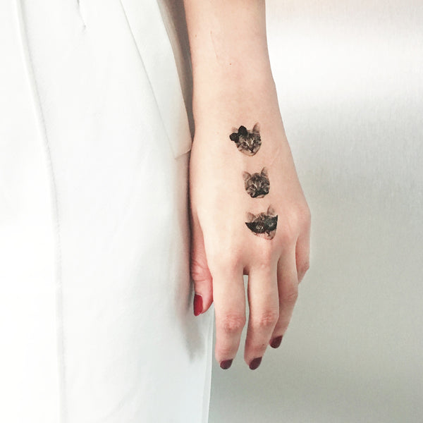 3張王牌_貓 3 OF KIND_CATS