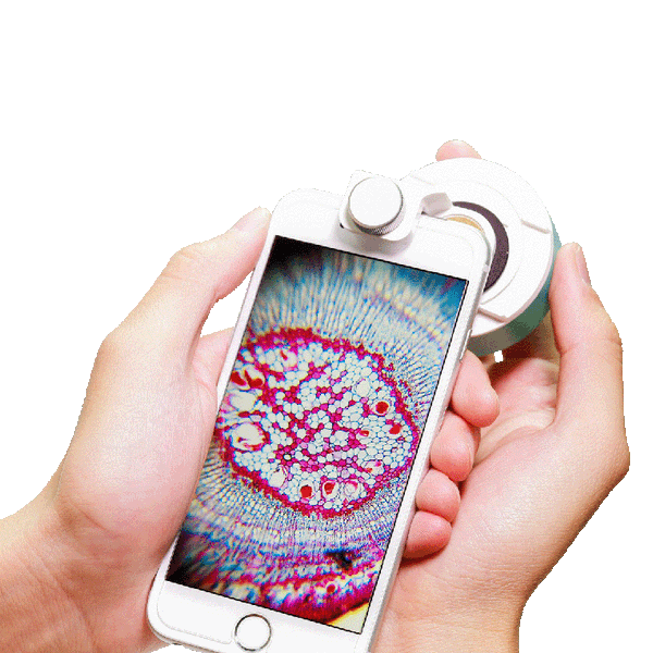 Basic行動顯微鏡