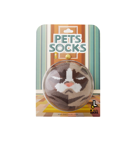 Pet Socks 寵物球襪_短毛波斯貓